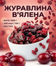 Вяленая клюква 1000 г натуральная сушеная ягода кисло-сладкая без добавок - изображение 1