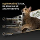 Промо-набор Упаковка влажного корма для взрослых кошек Purina Pro Plan Delicate Мусс с курицей с чувствительным пищеварением 85 г х 12 шт 1.02 кг (8445291990999) - изображение 6