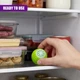 Кульки Mimo, ПОГЛИНЧУВАЧ ПАРХУ В ХОЛОДИЛЬНИК 3 ШТ ДЛЯ ВИДАЛЕННЯ ПАРХУ FRIDGE BALLS - зображення 11