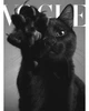 Жіноча футболка CRC 26036-3 Cat & Fish S - изображение 3