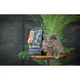 Корм сухий Savory Adult Cat Gourmand Fresh Salmon and White Fish для дорослих котів зі свіжим лососем і білою рибою 400 г - зображення 4