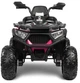 Pojazd akumulatorowy Quad Toyz Gigant Pink (5908310396521) - obraz 3