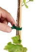 Клипсы для подвязки растений Parkside XL Plant Clips,16 шт - изображение 3