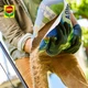 Твердое удобрение Compo Bio Aqua Depot для газона 10.5 кг (4008398143084/4308) - изображение 5