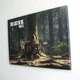 Інтер'єрна картина Останні з нас 2, Еллі грає на гітарі, Last Of Us 2, декор кімнати геймера, 28×42 см (id4226) - зображення 2