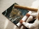 Постер Володар перснів, Рівенделл, Lord Of The Rings, Rivendell, фентезі, A2 38×60 см (id7315) - зображення 3