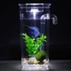 Аквариум для рыб прямоугольный Aquarium Happy Fish 2 литра, самоочищающийся, с подсветкой, камнями, растением - изображение 4