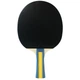 Набор для настольного тенниса Joola Team Master Pro 2 Bats 3 Balls (52001-1) - изображение 3