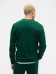 Світшот на флісі чоловічий GAP 49884042 2XL Зелений (1159863206) - зображення 2