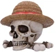 Скринька для зберігання Nemesis Now One Piece Luffy Jolly Roger (B7185C25) - зображення 2