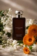 Одеколон для женщин Jo Malone Jasmine Sambac & Marigold 100 мл - изображение 3