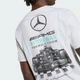 Мужская футболка Mercedes - Amg Petronas Formula 1 Team Graphic 02 adidas KG0868 (S) серый (4068817413013) - изображение 5