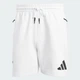 Чоловічі шорти New adidas Z.N.E. adidas JJ4893 (2XL) білий (4067896541365) - зображення 7