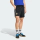 Мужские шорты Argentina Originals adidas JZ6308 (S) черный (4068821859159) - изображение 1