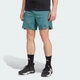 Чоловічі шорти Designed for Training Workout adidas JX3169 (S 23 см) зелений (4068809950892) - зображення 1