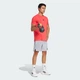 Мужские шорты Designed for Training Workout adidas JP0924 (3XL 13 см) серый (4067891711565) - изображение 3