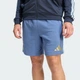 Мужские шорты Argentina DNA adidas JZ6297 (S) синий (4068821830554) - изображение 4