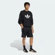 Чоловічі шорти ADICOLOR MESH adidas KD4081 (M) чорний (4068805233746) - зображення 3