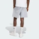 Мужские шорты Future Icons Small Logo adidas KD7657 (XS) серый (4068815289573) - изображение 2