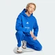 Мужское худи ALL SZN Fleece Graphic adidas JJ3667 (S) синий (4067902893396) - изображение 3