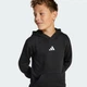 Детское худи Essentials Kids adidas JC9772 (176) черный (4067901420302) - изображение 3