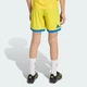 Дитячі домашні шорти Ukraine 26 Kids adidas JZ7089 (176) жовтий (4068821049994) - зображення 4