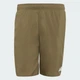 Мужские плавательные 8-Inch adidas KA4913 (XS) зеленый (4068821146099) - изображение 6