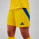 Женские домашние шорты Ukraine 24 (Женская команда) adidas IP2180 (L) серый (4067889342375) - изображение 6