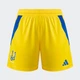 Женские домашние шорты Ukraine 24 (Женская команда) adidas IP2180 (L) серый (4067889342375) - изображение 8