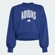 Дитячий світшот Seasonals Essentials Collegiate Typography Crewneck Kids adidas JM1535 (140) синій (4068808253901) - зображення 6