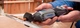 Багатофункціональний інструмент Гравер Dremel 4000-4/65 (F0134000LW) - зображення 2