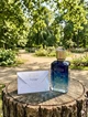Парфуми Ex Nihilo Blue Talisman 100 мл унісекс деревно-фруктовий аромат з грушею мускусом та витонченим шлейфом - зображення 2