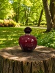 Парфуми Dior Hypnotic Poison 100 мл жіночі шлейфовий східно-ванільний аромат з нотами кокосу мигдалю та тонка - зображення 2