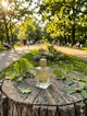 Парфюм Ex Nihilo Fleur Narcotique 100 мл унисекс цветочно-фруктовый аромат с личи пионом и мускусом нежный шлейф стойкость - изображение 3