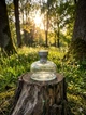 Парфуми Burberry Weekend 100 мл жіночі легкий квітково-фруктовий аромат з мандарином персиком та м'яким мускусним шлейфом - зображення 3
