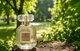 Парфюмы Victoria's Secret Bombshell Gold 100 мл женские тёплый цветочный аромат с личи ванилью и пионом стойкий шлейф - изображение 2