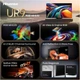Телевизор Hisense RGB LED 65" 65UR9S - изображение 6