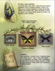 Живий світ України. Ранок - зображення 3