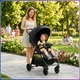 Дитяча прогулянкова коляска-книжка Bambi M 6317 LITE Black алюмінієва рама, ремені безпеки - зображення 8