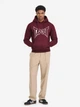 Худі флісовий чоловічий TapOut LIFESTYLE BASIC HOODIE 940006-2103 S Oxblood/Off-White (4255581589574) - изображение 5