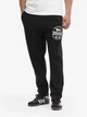 Штани чоловічі Lonsdale HAUXLEY 117893-1500 L Black/White (4070376000634) - изображение 1