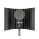 Studyjny mikrofon pojemnościowy sE Electronics X1 S Studio Bundle Czarny (SUP_nj1389) (819032011195) - obraz 2