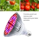 LED фітолампа E27 80W — повний спектр для рослин, лампа для росту, розсада, квіти, кімнатні рослини - зображення 5