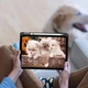 Чохол-книжка BeCover Soft Edge TPU з кріпленням Apple Pencil для Apple iPad Air 11" M4 2026 Gray (715258) - зображення 4