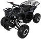 Квадроцикл Wildpeak 110CC бензиновий чорний PSP.ATV006.CZ (5903864960495) - зображення 2