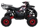 Квадроцикл Wildpeak 110CC бензиновий червоний PSP.ATV006.CR (5903864960501) - зображення 2