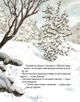 Книга Буде свято. Професор Брумм святкує Різдво - зображення 2