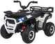 Електроквадроцикл ATV Robust 01 білий PA.XMX-651.BIA (5903864983463) - зображення 1