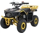 Квадроцикл 49CC Sirius бензиновий жовтий PSP.ATV-13A.ZOL (5903864983913) - зображення 1