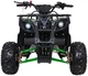 Квадроцикл Wildpeak 110CC бензиновий зелений PSP.ATV006.ZIE (5903864960525) - зображення 8